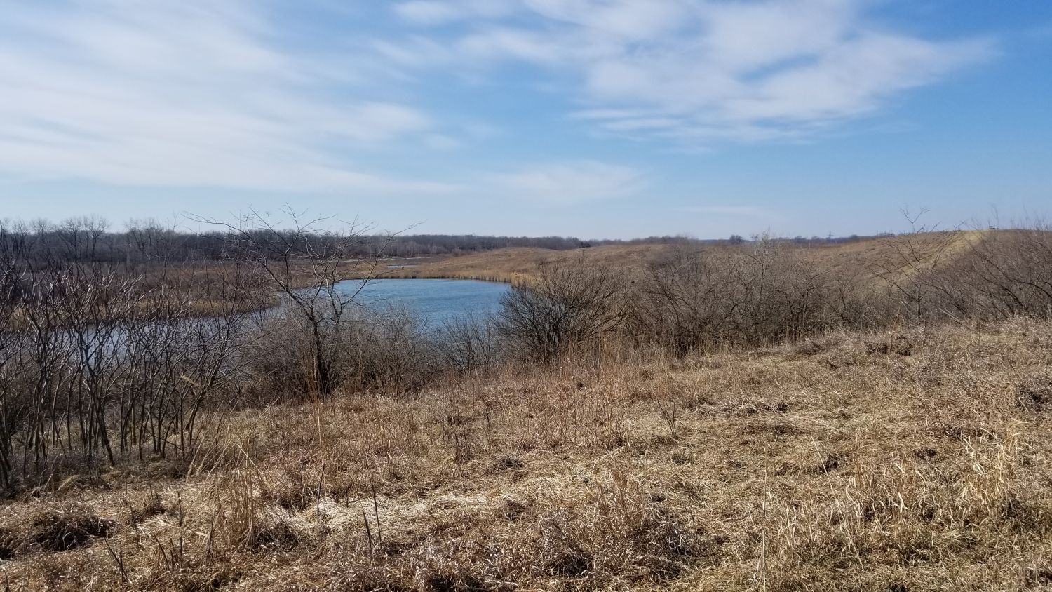 Goose Prarie Natural Area 